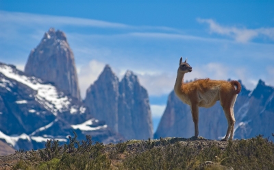 Meilleur moment pour voyager Argentine